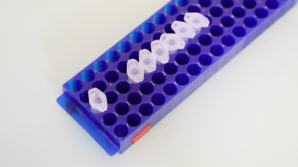 eppendorf