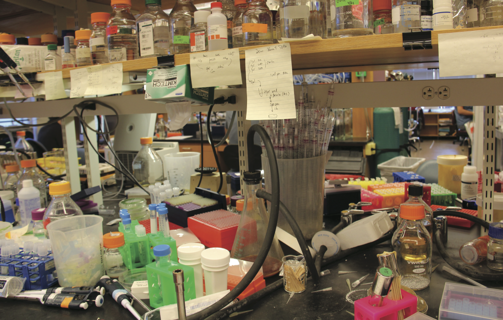 lab images
