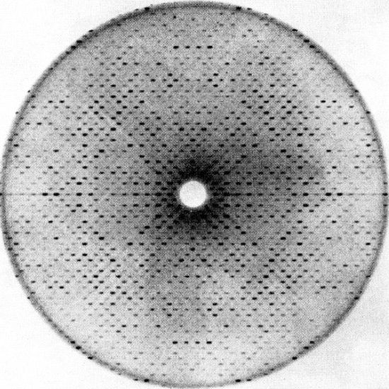 X-ray diffraction image of superoxide dismutase protein crystal. Image: Jane Richardson.