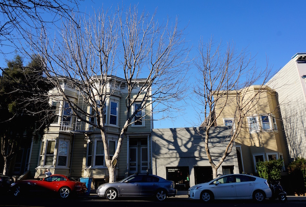 One Trees at 22nd and Valencia in San Francisco. Photograph by Marina Agapakis.