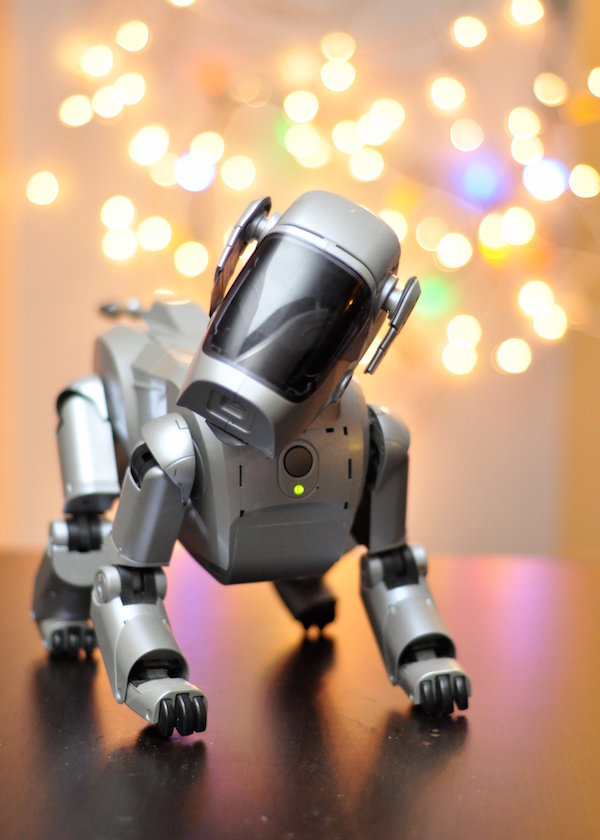 Robotic Dog. Photo by Flickr user Meddygarnet.