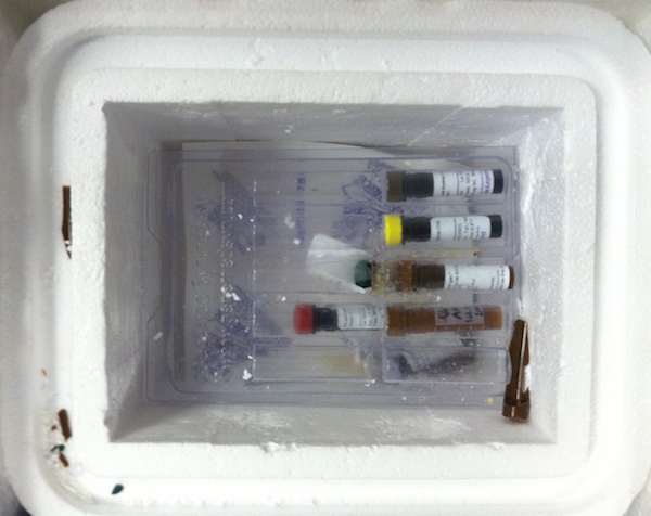 Vials with precious samples were shipped from the US to the lab at the wrong temperature, causing some of the tubes to burst and holding back research.