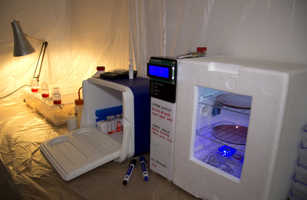 Image from clinic lab