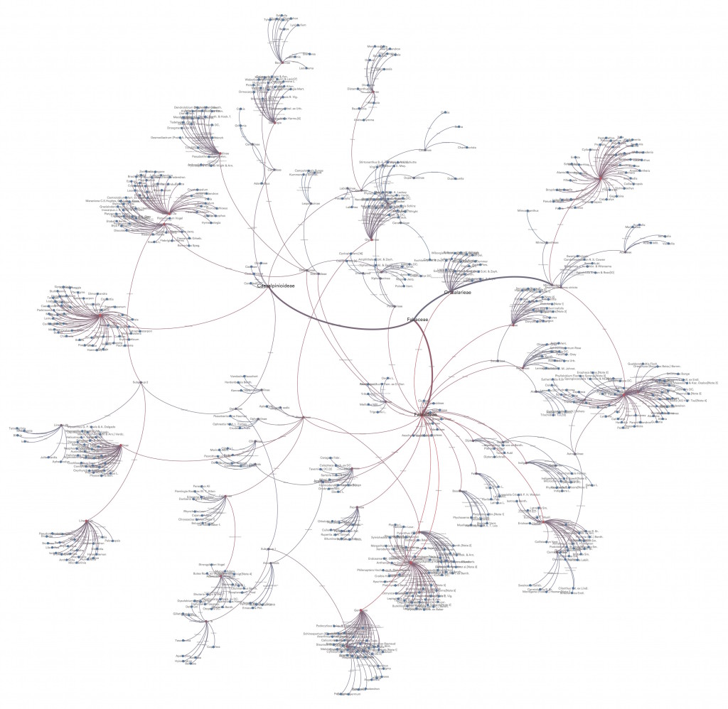 Pre-Lux meridiani: Fabaceae family has distinct tribes, subtribes and groups. Multiple species remain clustered around one group and segregated from other groups.
